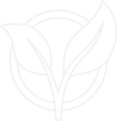 Piano 12 mesi